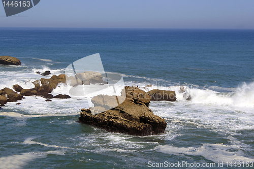 Image of Wild Coast