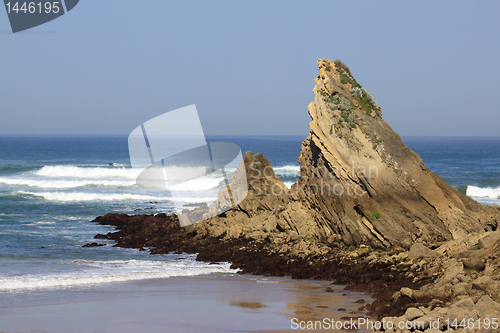 Image of Wild Coast