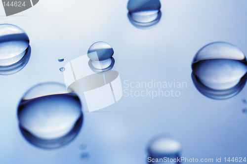 Image of Water droplets