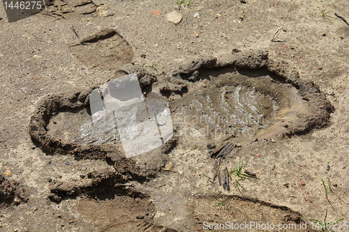 Image of Shoe print