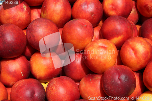 Image of Nectarines