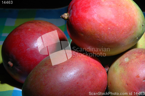 Image of mangoes