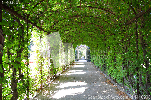 Image of Schoenbrunn gardens