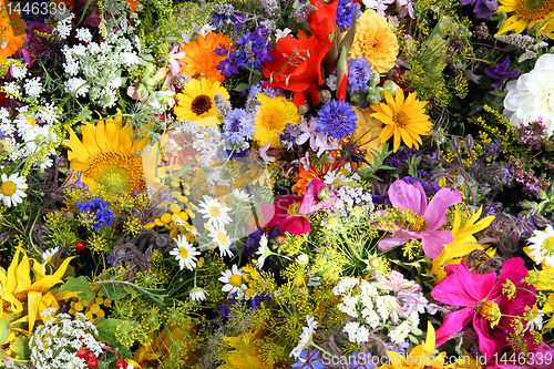 Image of Flower composition