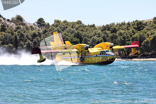 Image of Water bomber aircraft