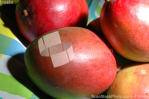 Image of mangoes