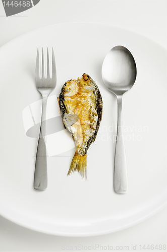 Image of Dried Fish