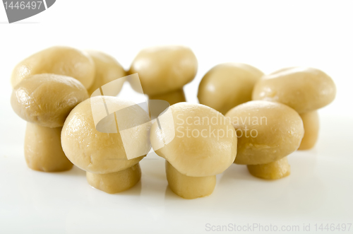 Image of Mushrooms