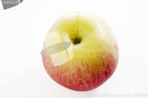 Image of Apple