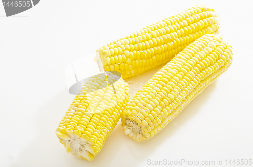 Image of Corn Cobs