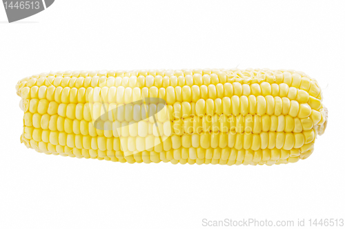 Image of Corn Cob