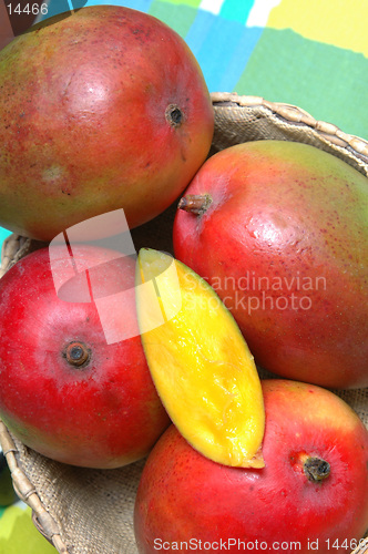 Image of mangoes