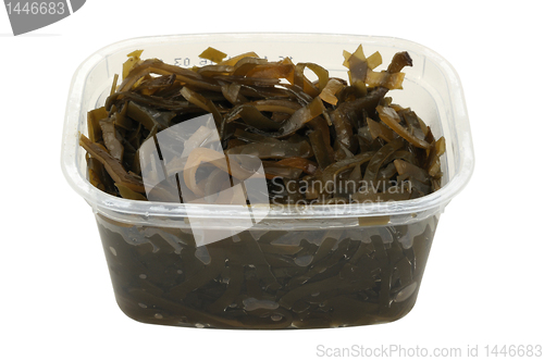 Image of kelp salad in a plastic pot