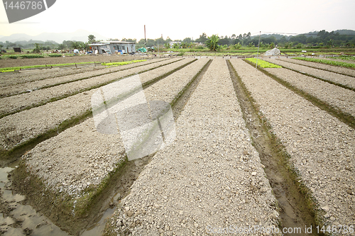 Image of Cultivated land