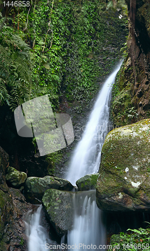 Image of Deep forest waterfall 