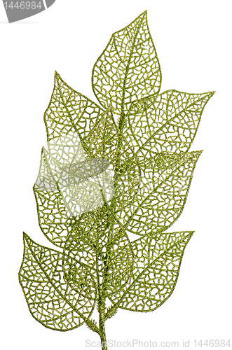 Image of Christmas leaves decoration