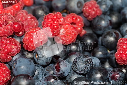 Image of berries