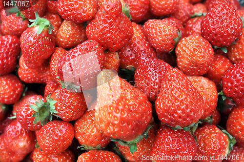 Image of Strawberry fruits