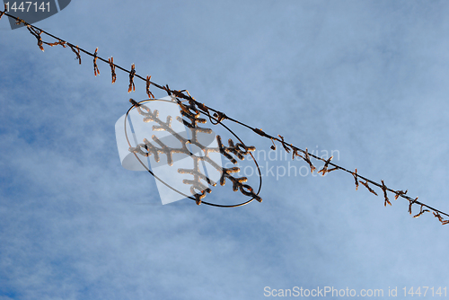 Image of Christmas decoration