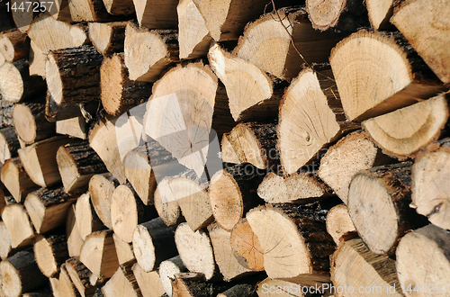 Image of Closeup Woodpile