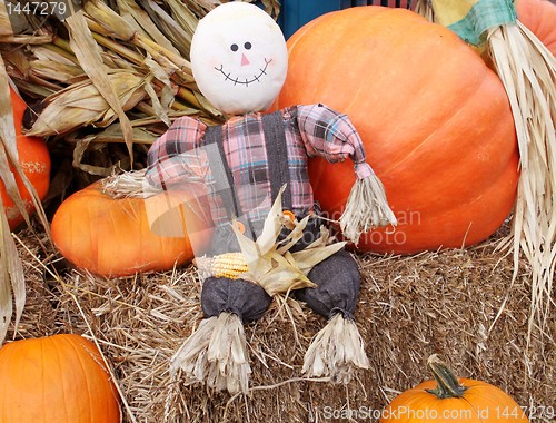 Image of Small scarecrow and pumpkins