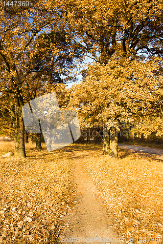 Image of Footpath in park