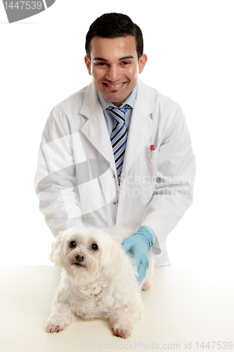 Image of Confident vet with pet dog