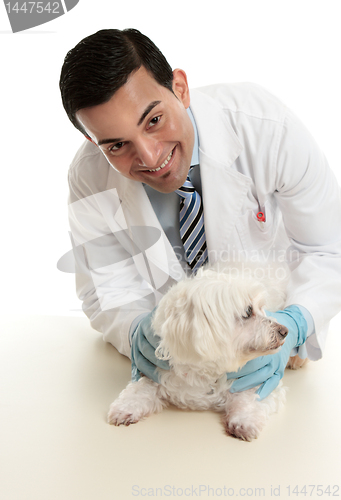 Image of Veterinarian taking care of a pet dog