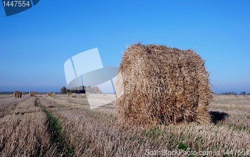 Image of Straw bales 