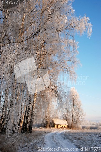 Image of Winter road 