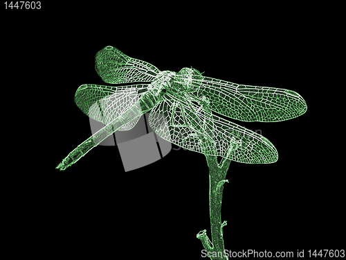 Image of silhouette of dragonfly