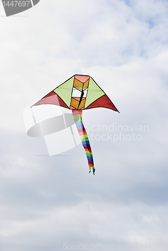 Image of Kite