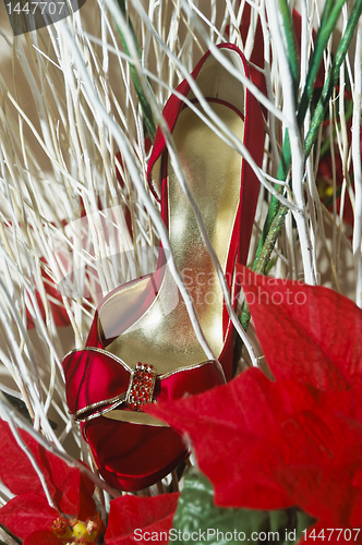 Image of Red Shoe