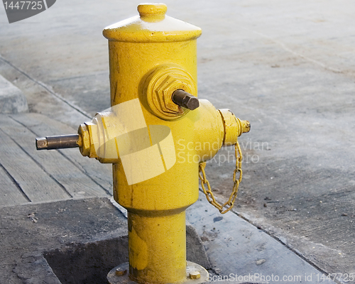 Image of Fire Hydrant