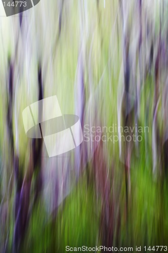 Image of abstract forest