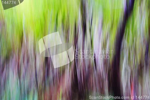 Image of abstract forest