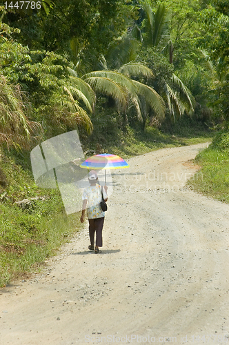 Image of Rainbow Umbrella