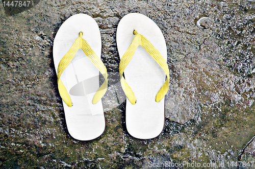 Image of Slippers