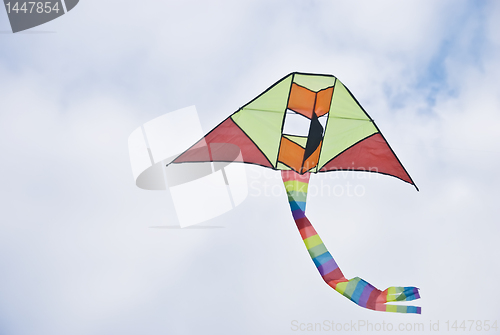 Image of Kite