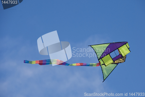 Image of Kite