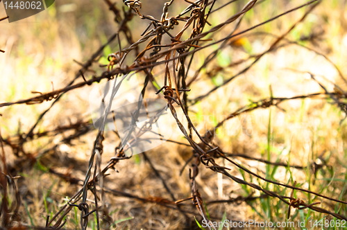 Image of Barbed wires on apocalyptic background