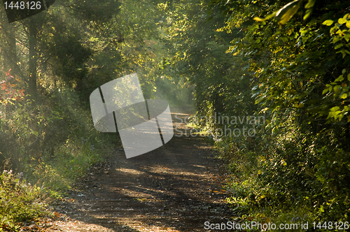 Image of Trail with rays of sunlight filtering through the trees