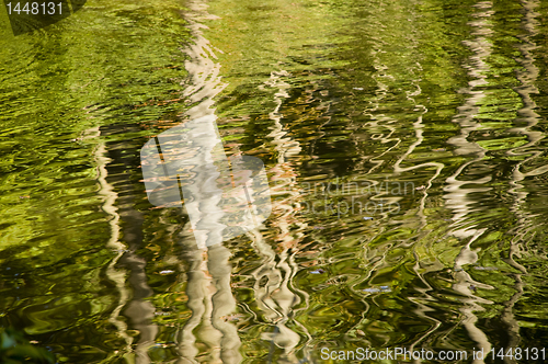 Image of Abstract rippled reflection of trees in lake water