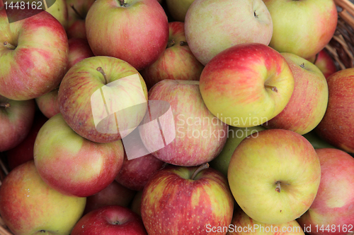 Image of Apples