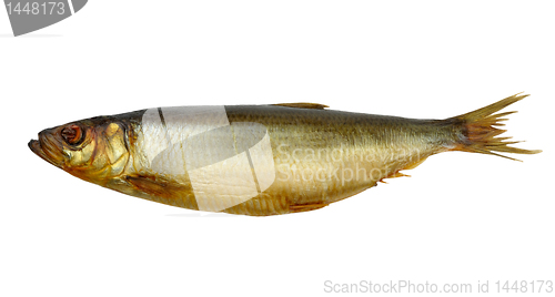 Image of smoked herring