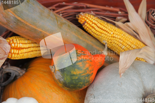 Image of Autumn Harvest