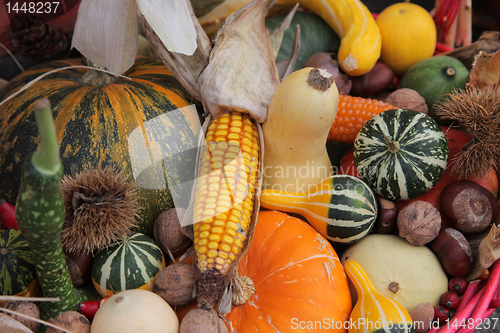 Image of Autumn Harvest