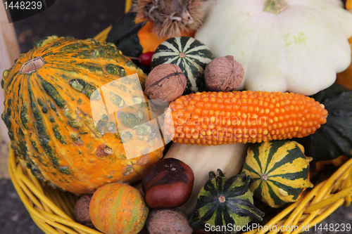 Image of Autumn Harvest