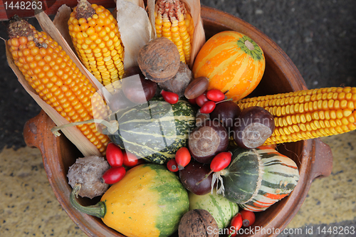 Image of Autumn Harvest