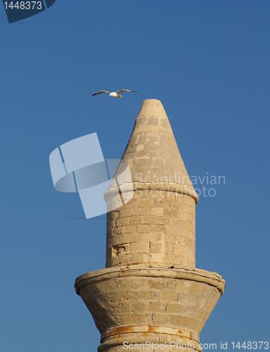 Image of seagull over a minaret